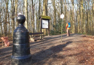 Trail Walking Braine-le-Comte - Balade dans la Bois de la Houssière - Henripont - Photo
