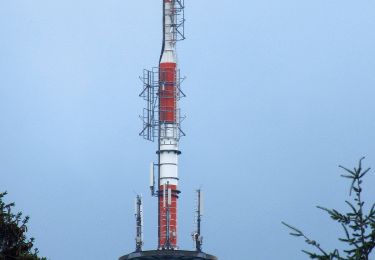 Tour Zu Fuß  - DE-gelber Balken - Photo