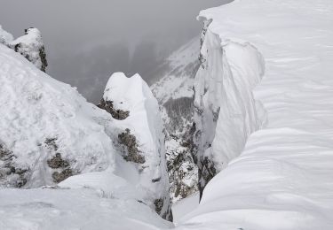 Trail Snowshoes Bouvante - fond'hurle - Photo