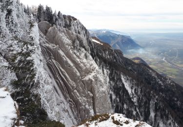 Randonnée Raquettes à neige Autrans-Méaudre en Vercors - Bec de l'orient en circuit - Photo