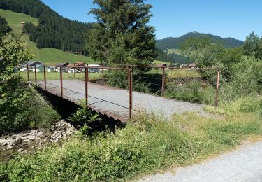 Trail On foot Unteriberg - Haldeli - Wisstannen-Weid - Photo