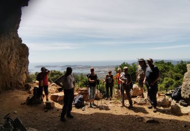 Excursión Senderismo Ollioules - croupatier - Photo