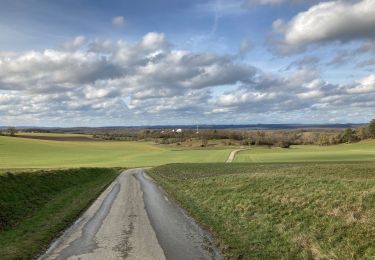 Trail Walking Rochefort - Autour de Lessine - Photo