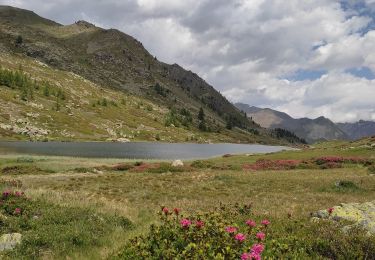 Tocht Stappen Névache - lac Cristol - Photo