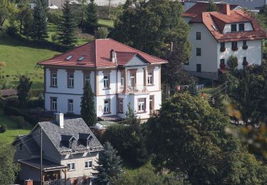 Tour Zu Fuß Frankenblick - Rundwanderweg Theuern 5 - Photo