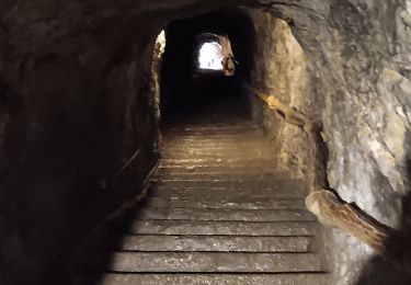 Tocht Andere activiteiten Dinant - grotte la merveilleuse  - Photo