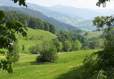 Trail Walking Orbey - Col du Wettstein, le circuit des sources par les Basses Huttes - Photo