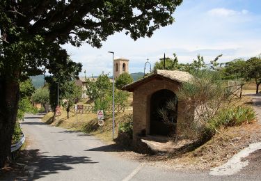 Tour Zu Fuß Assisi - IT-361 - Photo