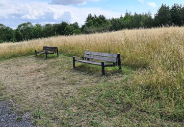 Tocht Stappen Antoing - cinq rocs Tournai  - Photo