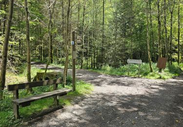 Tour Wandern Bièvre - Promenade de la Roche Mouselle - Petit-Fays - Photo