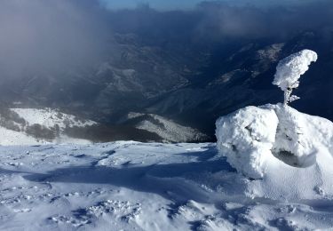 Tour Wandern Astet - La Chavade Bel-air - Les Valadous - Photo