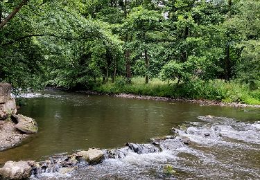 Trail Walking Rochefort - La promenade du Gouffre et des rapides de la lesse (les bouvreuils) - Photo