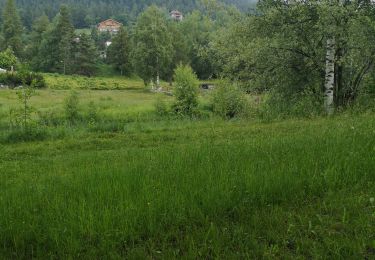 Tocht Noords wandelen Arbaz - Anzère  - Photo