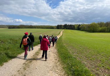 Trail Walking Laville-aux-Bois - Laville aux bois - Photo