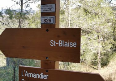 Trail Walking Saint-Blaise - St Blaise - Mont Inarte - Mont Cima  - Photo