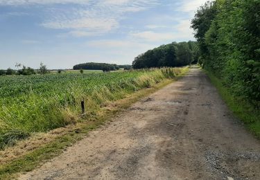 Tocht Stappen Dinant - FOY GPX BERLAGE - Photo