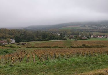 Tour Wandern Dormans - RP51-05 Dormans à Château-Thierry - Photo