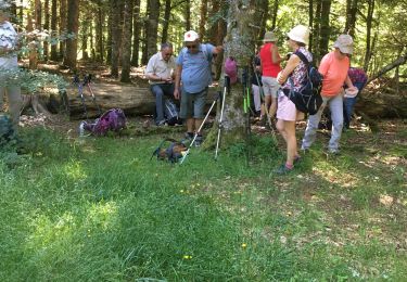 Tour Wandern Val-d'Aigoual - Aigoual 25 juin 2023 - Photo