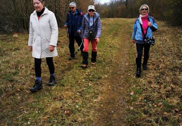 Trail Walking Montauville - La Croix Charbonnière - Photo