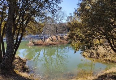 Tour Wandern Beaumont-de-Pertuis - l'aillade - Photo