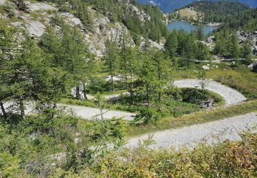 Tour Wandern Val-Cenis - LAC DU MONT-CENIS (73) - Photo