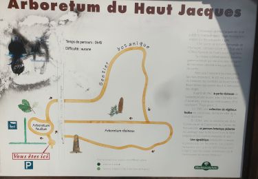 Excursión A pie Les Rouges-Eaux - circuit poussettes du col du Haut Jacques  - Photo