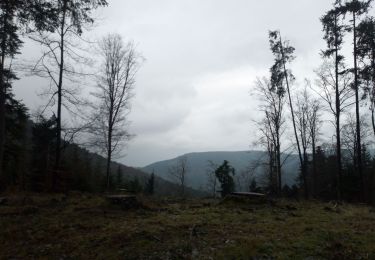 Percorso Marcia Rosheim - Tour du Schwartzkopf et Fackenkopf - Photo