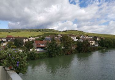 Tocht Stappen Germaine - RP51-02 Les Haies à Mardeuil - Photo