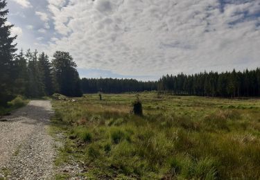 Tocht Stappen Baelen - hestreux  14 km  - Photo