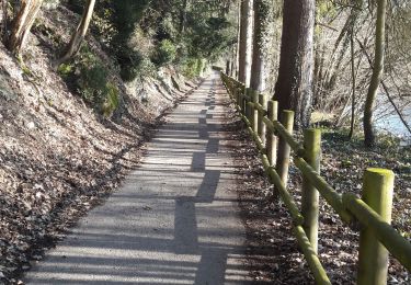 Tour Wandern Rochefort - Lomme-Lesse: Rochefort-Ciergnon - Photo