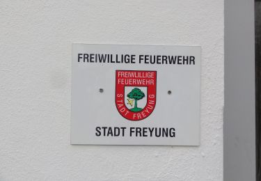 Tour Zu Fuß Freyung - Rundwanderweg Nr. 7 