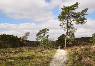 Tocht Te voet Landgraaf - Brunssummer Heide Rode route - Photo