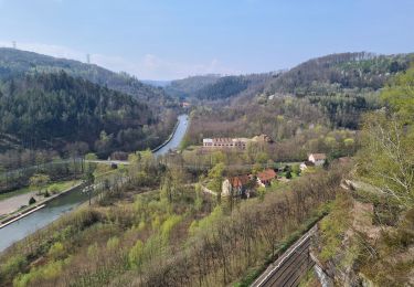 Tocht Stappen Lutzelbourg - Sentier des roches de Lutzelbourg - Photo