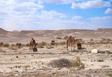 Excursión A pie מועצה אזורית תמר - IL-14261 - Photo