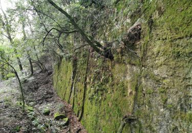 Percorso Marcia Méounes-lès-Montrieux - Chartreuse de Montrieux, lac et vallée du Gapeau - Photo