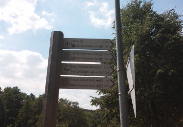 Excursión A pie Sulzbach am Main - Roter Schmetterling, Rundwanderweg Soden - Photo