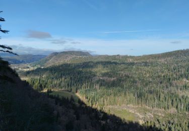 Tour Wandern Chaux-des-Crotenay - la cheminée - Chaux-de-Crothenay - Photo