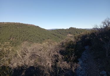 Trail Walking Anduze - Anduze le 30 01 2022 - Photo