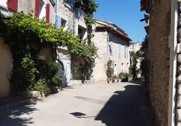 Tour Wandern Saint-Martin-de-la-Brasque - St Martin de Brasque - Photo