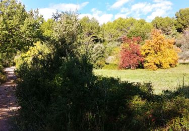 Excursión Senderismo Callas - pierre reco le 5 novembre 2019 - Photo