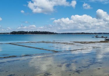 Tour Wandern Locmariaquer - LOCMARIAQUER GOLF ET MER 23 JUIN 22 CA - Photo