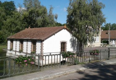 Excursión Bici de carretera Paron - 043 NE80 La Chapelle sur Oreuse # Molinons-01 - Photo