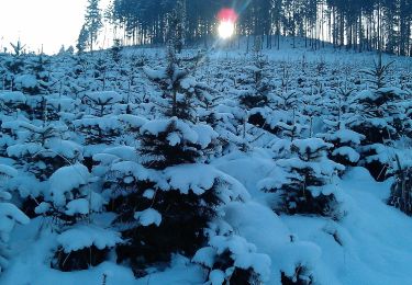 Tocht Te voet Scharten - Naturparkhöhenweg - Photo