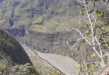 Trail Walking La Possession - dos dans aurere - Photo