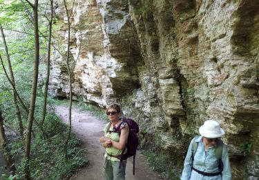 Excursión Senderismo Buoux - buoux - Photo