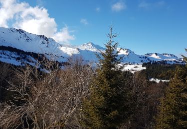 Randonnée Raquettes à neige Taninges - praz5 - Photo