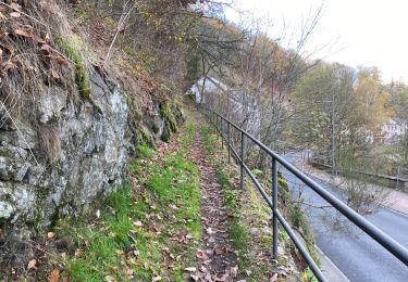 Tour Wandern Clerf - Clervaux Abbaye et Mecher 10 km boucle - Photo