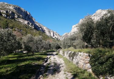 Trail Walking Roquevaire - le Garlaban par le grand vallon - Photo