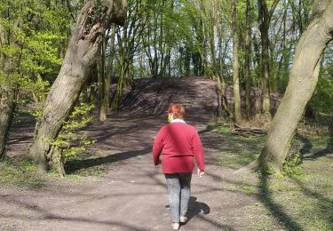 Trail Walking Charleroi - Marche méditative au P'tit Bois - Photo