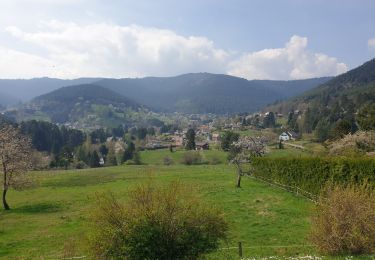 Trail Walking Wangenbourg-Engenthal - Le donjon du Wangenbourg - Photo